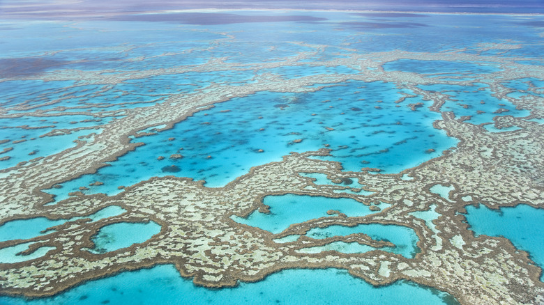 Australia's Great Barrier Reef