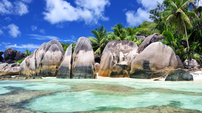 A beach in the Seychelles