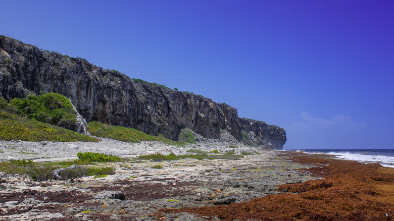 Cliffs of Cayman Brac