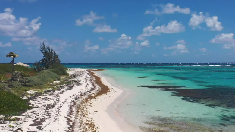 Little Cayman's Point of Sand 