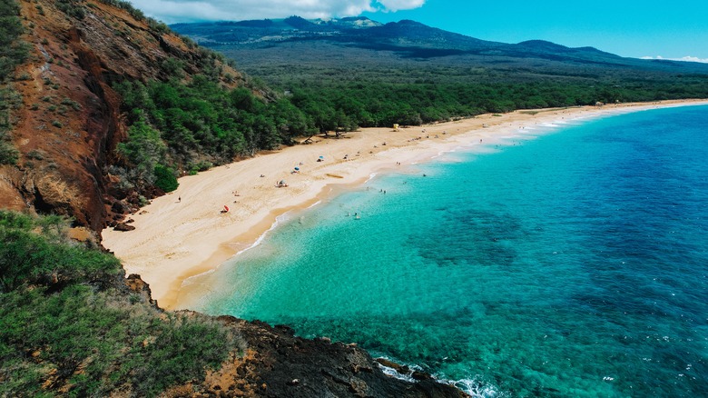 A beach on Maui