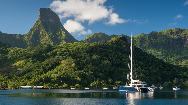 The natural splendor of Moorea