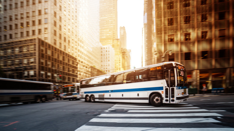 Bus in New York City