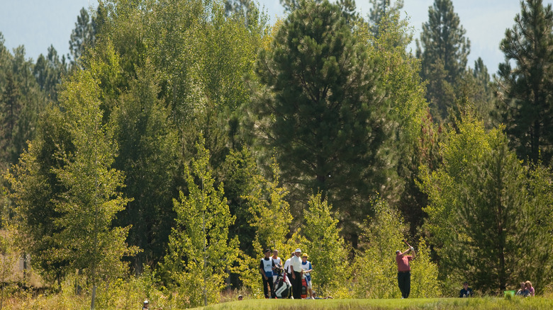 Golfer and trees in Oregon