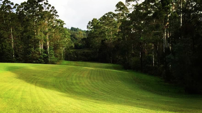 Nuwara Eliya Golf Club fairway