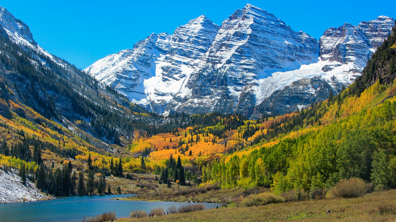 mountain and trees changing color