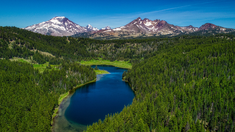 lake in forest with mountains