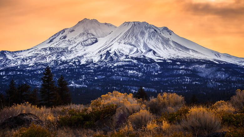 Mountain against flowers and trees