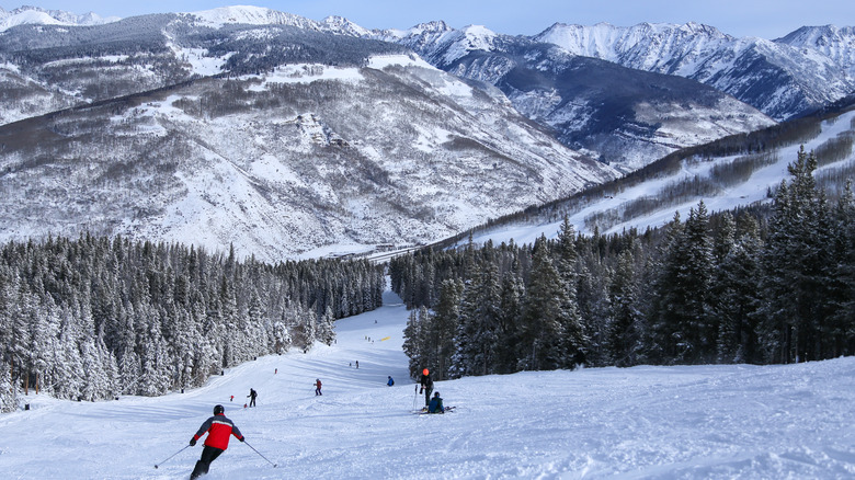 downhill skiers on a mountain