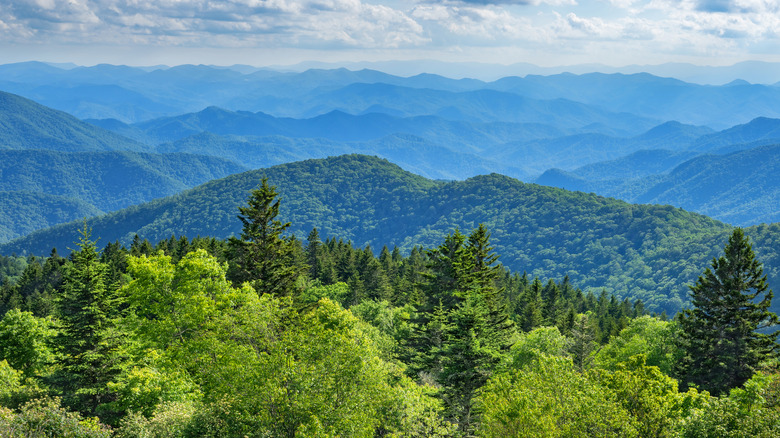 Blue Ridge Mountains in Asheville