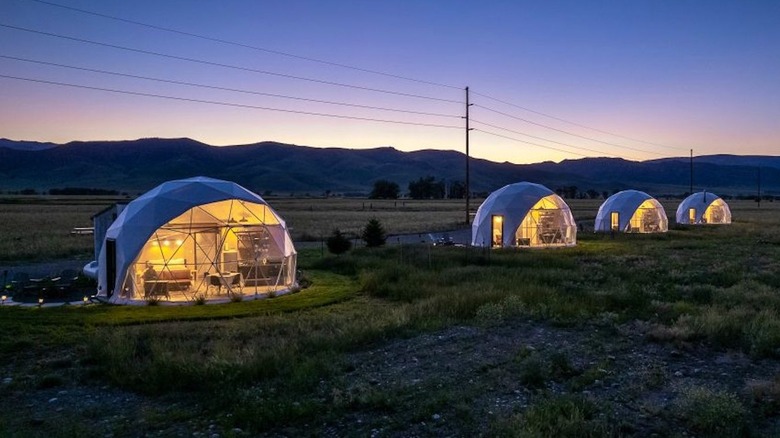 Glamping tents in Montana