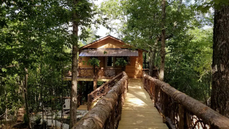 Treehouse in Arkansas