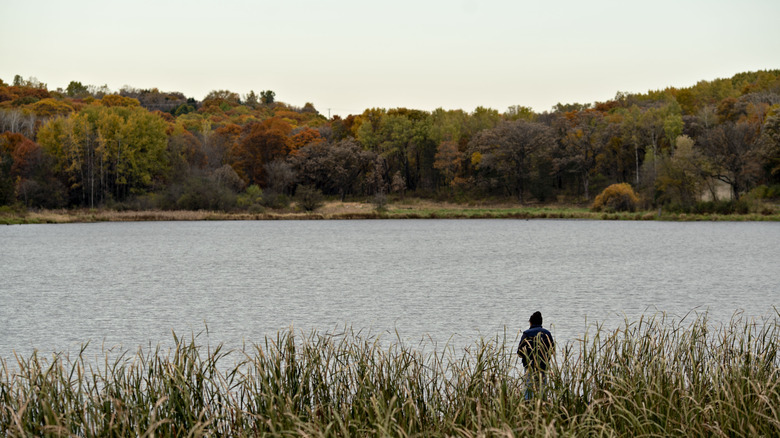 Lake in Minnesota