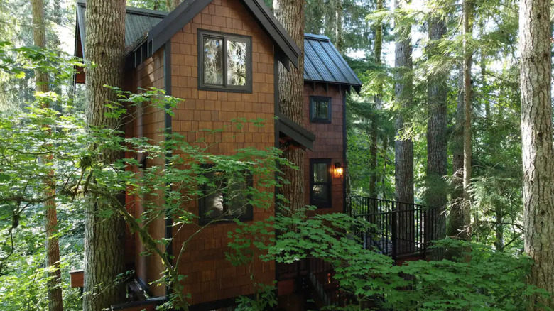 House among trees in Washington