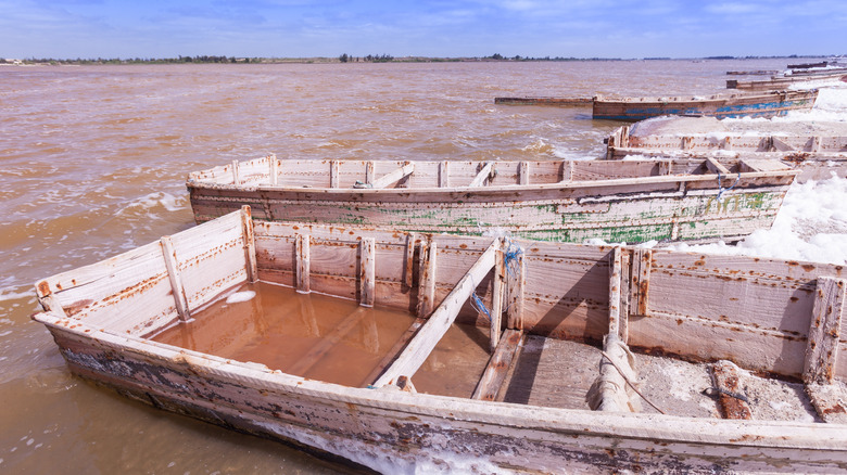 pink salt lake in Senegal