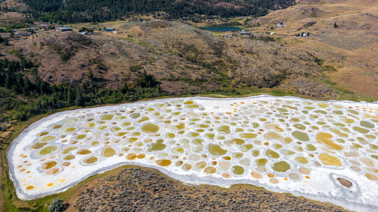 view of Spotted Lake