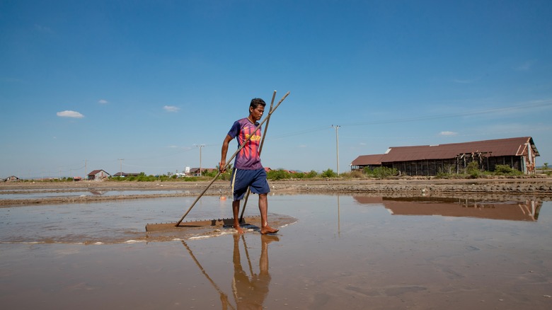 Salt worker in Kampot