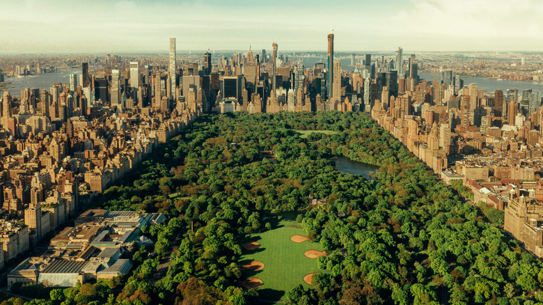 aerial view of Central Park