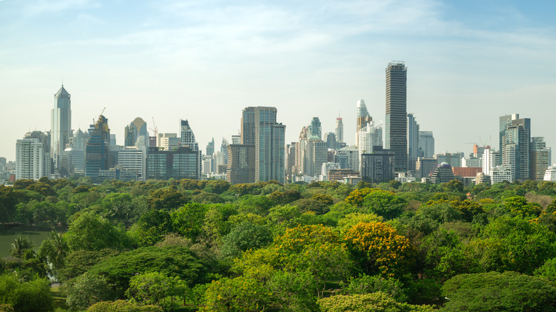 NYC from Central Park