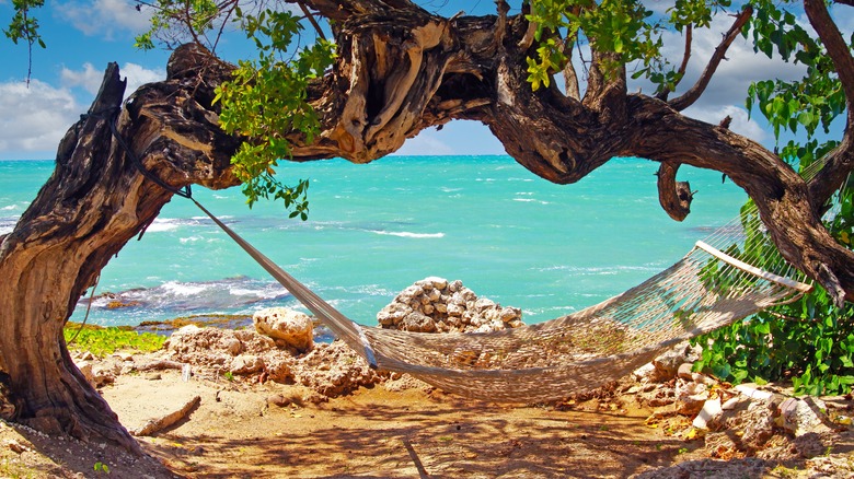beautiful coastal landscape in Jamaica