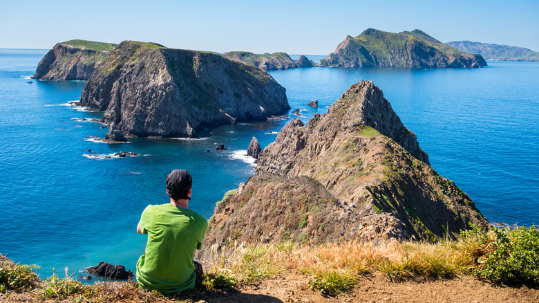 Man overlooking Channel Islands 