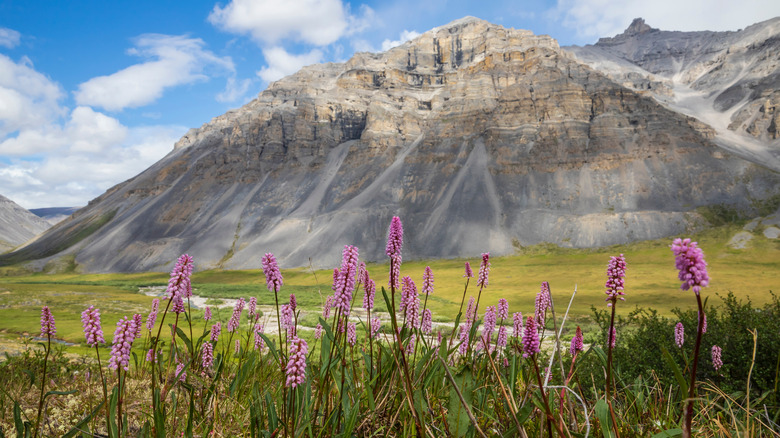 Gates of the Arctic National Park