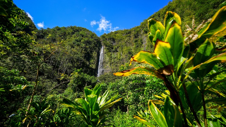 View from Pipiwai Trail, Haleakala National Park