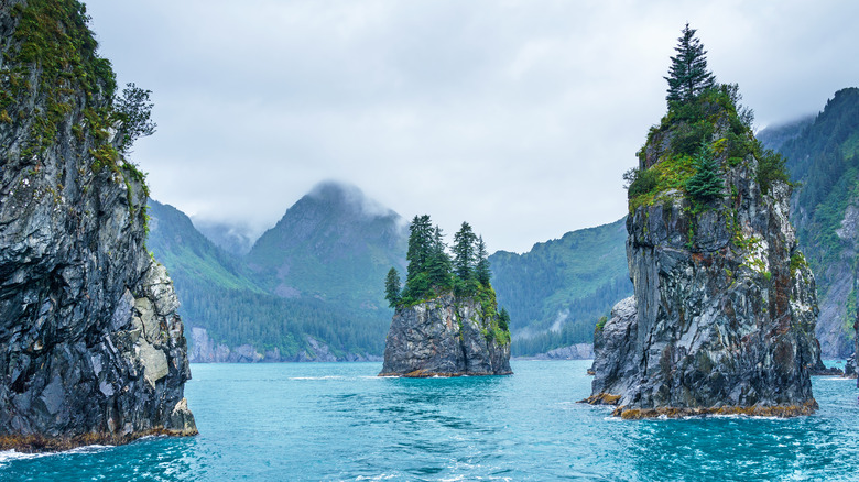 Bay in Kenai Fjords National Park