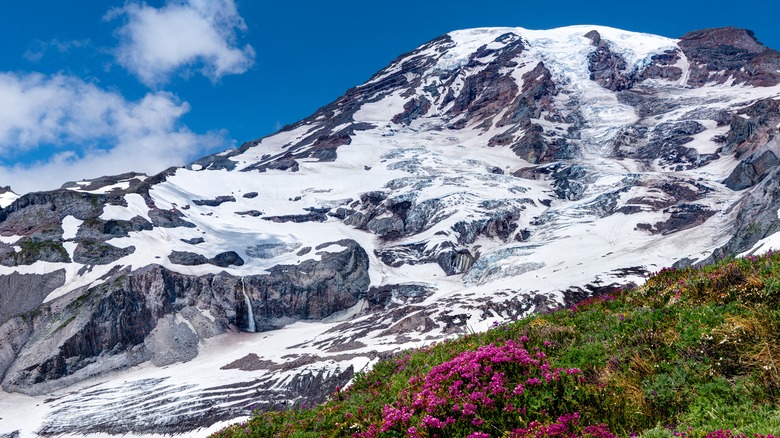 Skyline Trail Mount Rainier