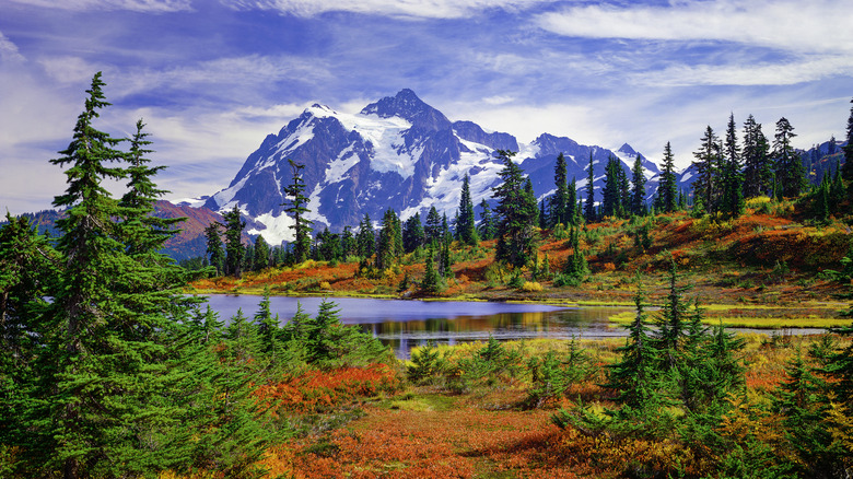 Mt. Shuksan North Cascades National Park