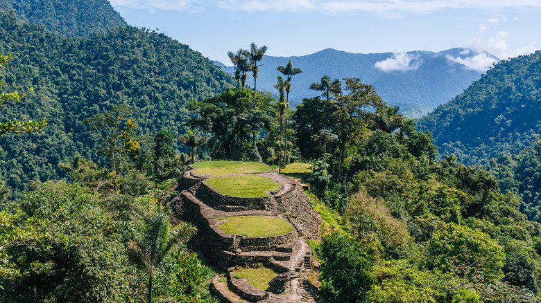 terraced ruins in jungle