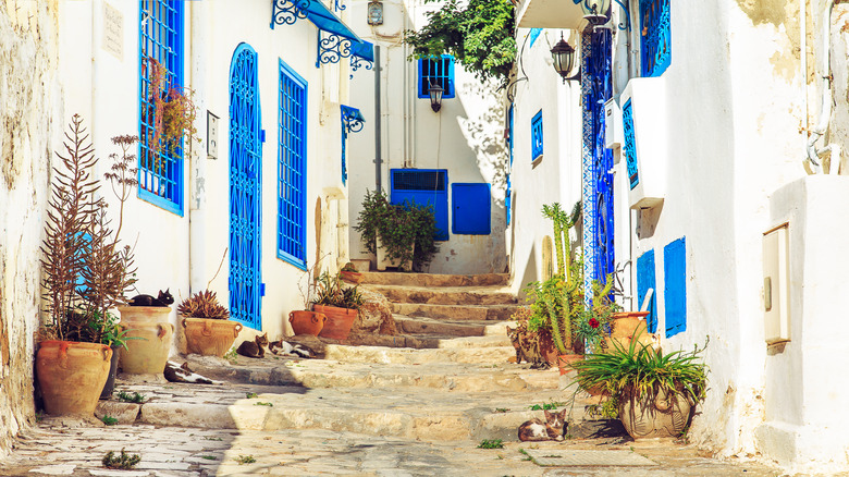 white and blue neighborhood