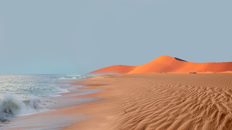 desert meets ocean in Namibia