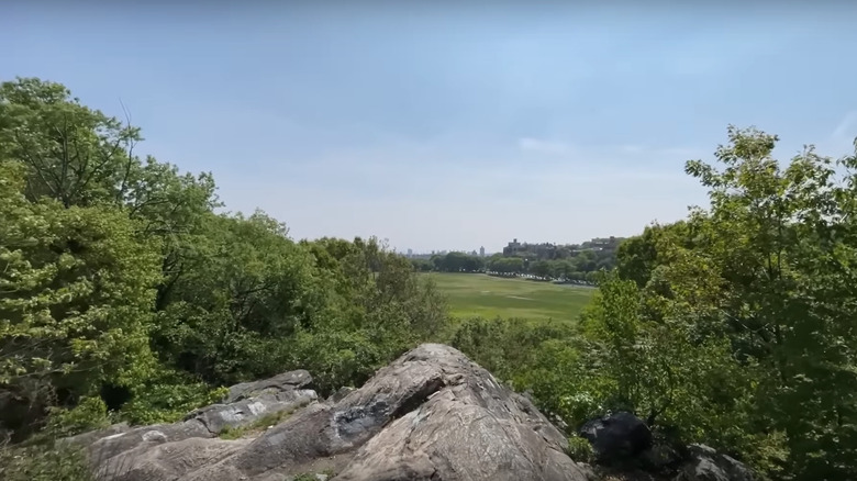 Rocks of Van Cortlandt Park