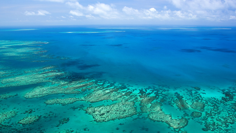 Cairns, Australia