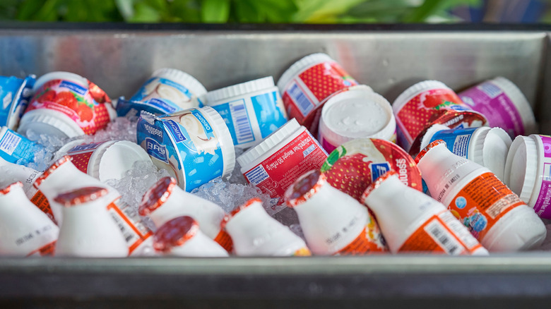 yogurt in tubs and bottles in an ice chest