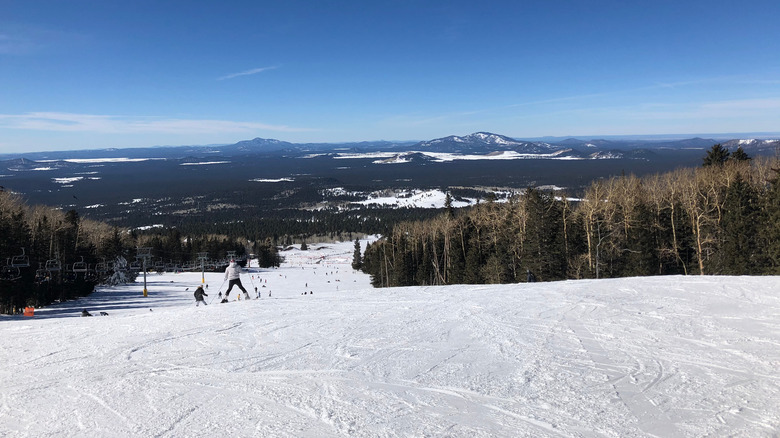 Ski landscape at Arizona Snowbowl