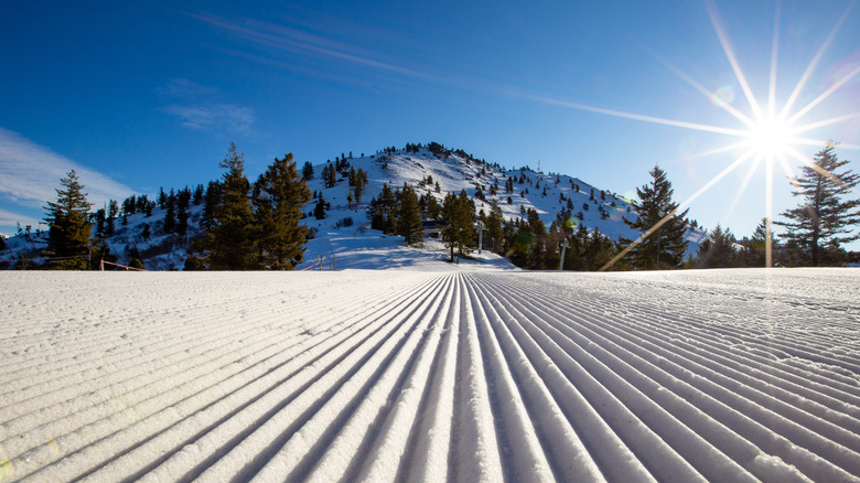 Bogus Basin Ski Resort 