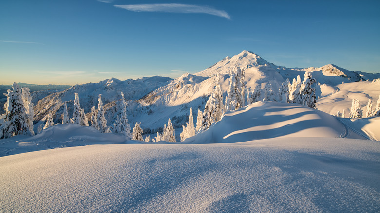 Mt. Baker in Washington