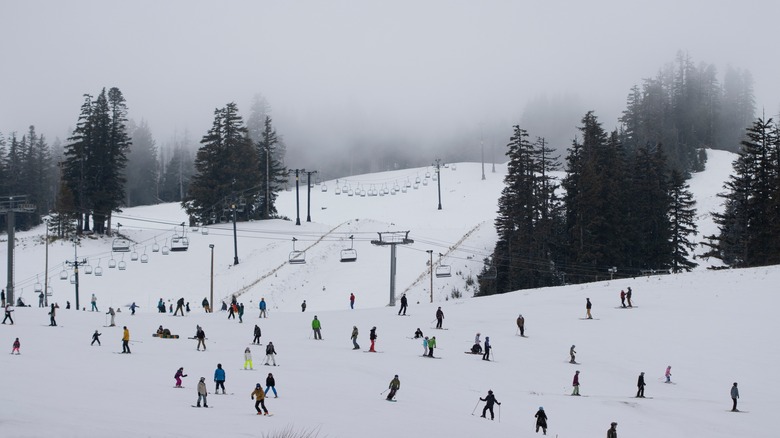 Mount Hood ski area 
