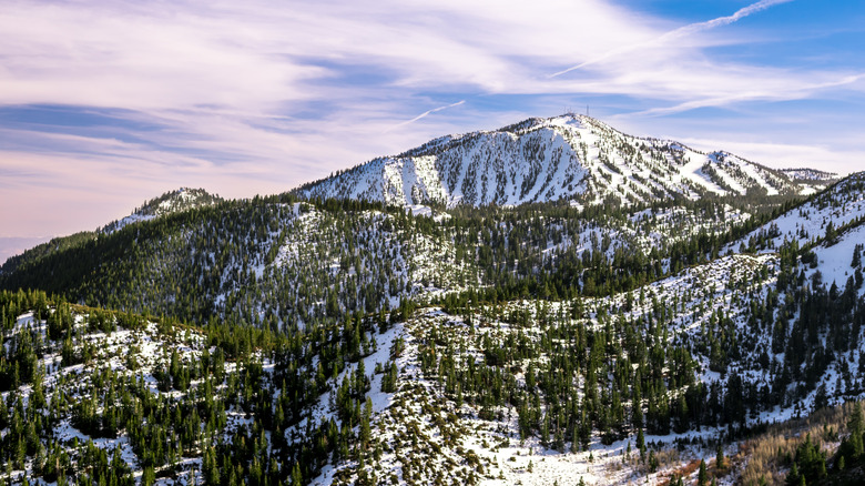 Mt. Rose ski resort