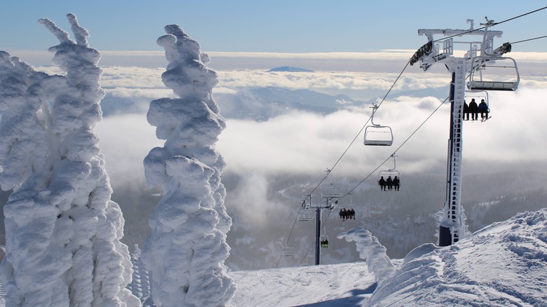 Snow-covered trees and chairlift at Schweitzer Mountain