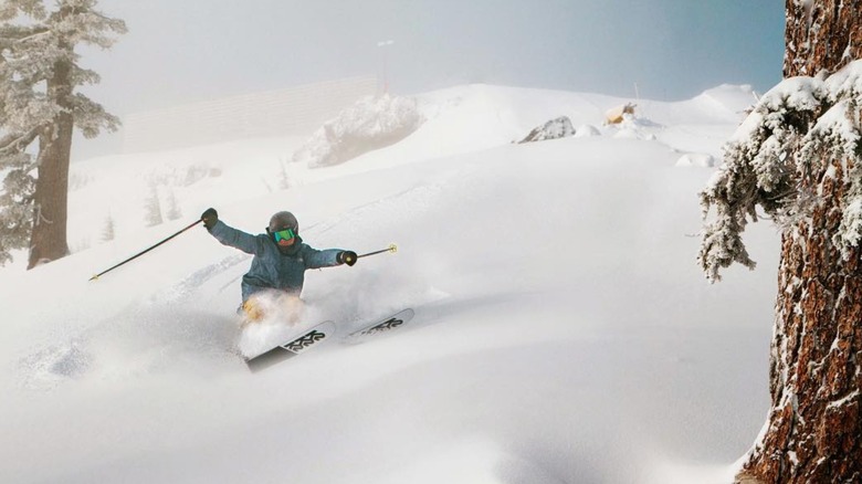 young skier at Sugar Bowl 