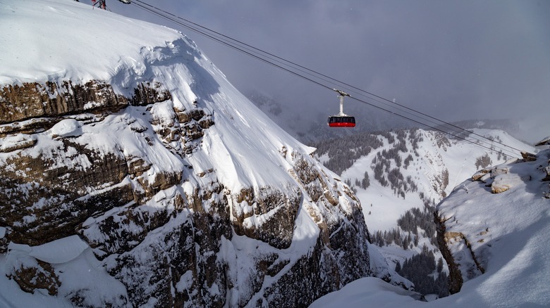 Peaks of Jackson Hole