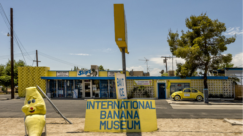 International Banana Museum 