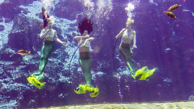 Mermaids of Weeki Wachee