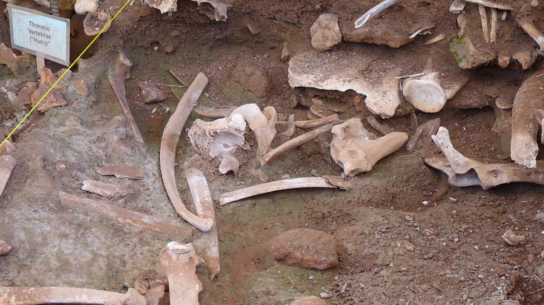 Pit of Buffalo Bones