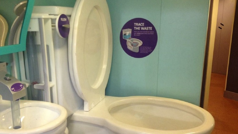 The World's Largest Toilet