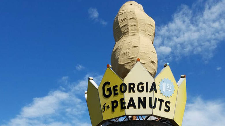 World's Largest Peanut 