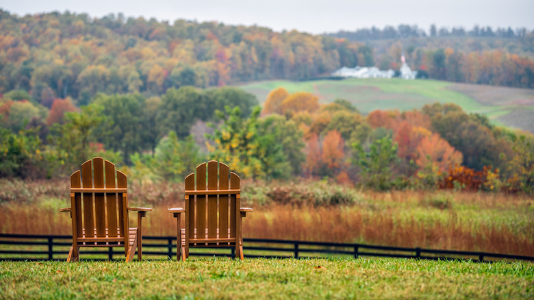 Adirondack chairs looking at forests
